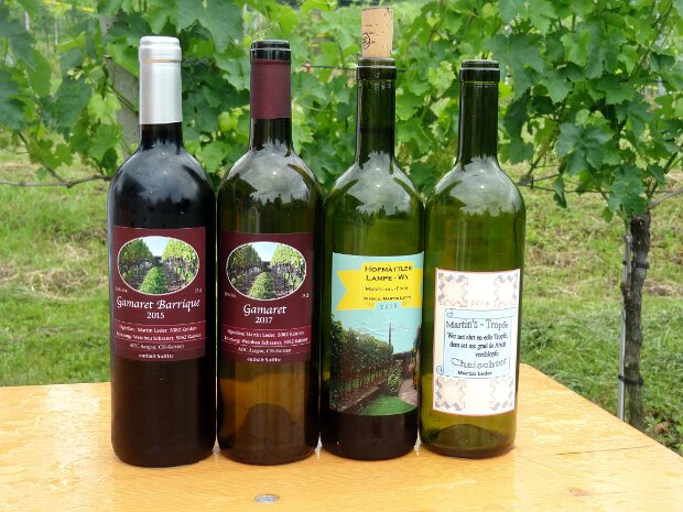 Rebbergwanderung Tourenleiter: Martin Leder