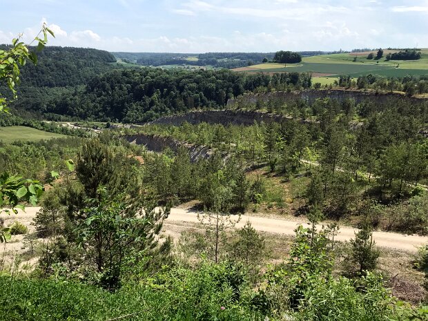 Alpenrosen Wanderung Fotograf: Guido Kühne