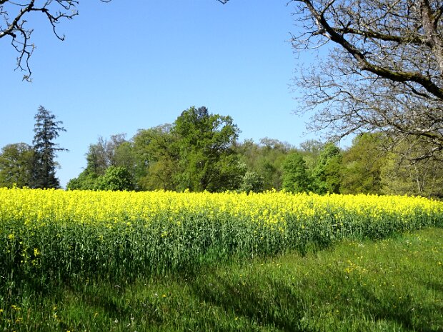 Wanderung Langenthal-Murgenthal Fotograf: Peter Bläuenstein