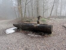 DSC01900