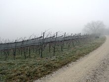 DSC01912
