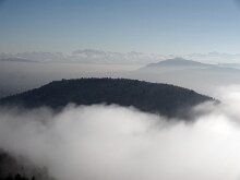 DSC01964