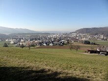 DSC01981