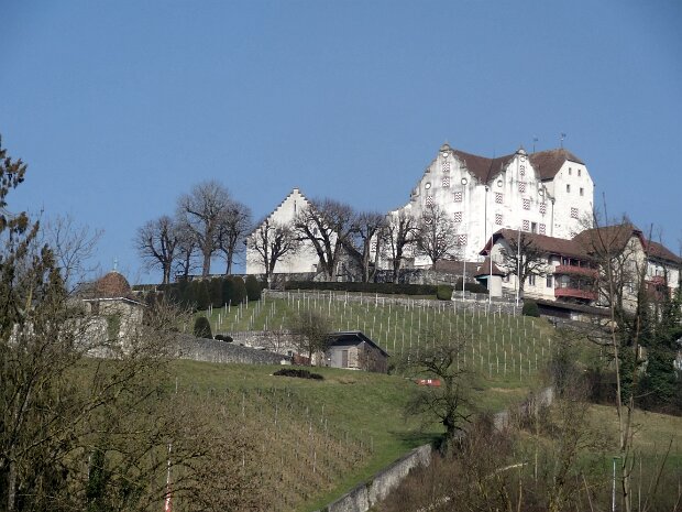 Halbtagestour Othmarsingen-Wildegg Tourenleiter: Jörg Wochele