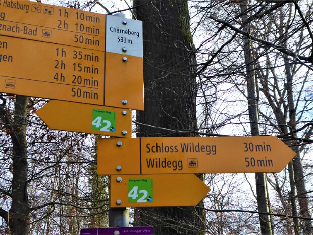 Tagestour Chestenberg Othmarsingen-Wildegg Fotograf: Max Müller