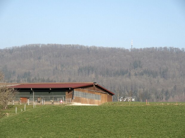 Tagestour Chestenberg Othmarsingen-Wildegg Tourenleiter: Jörg Wochele