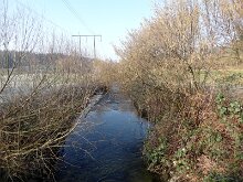 DSC01724