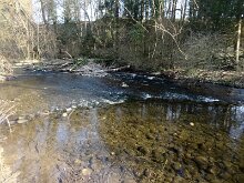 DSC01755