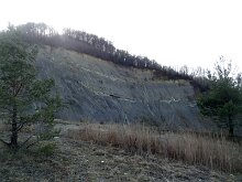 DSC02158