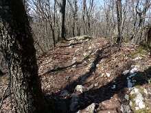 DSC09528
