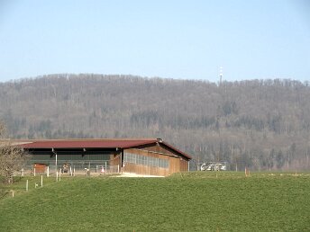 Tagestour Chestenberg Othmarsingen-Wildegg Tourenleiter: Jörg Wochele