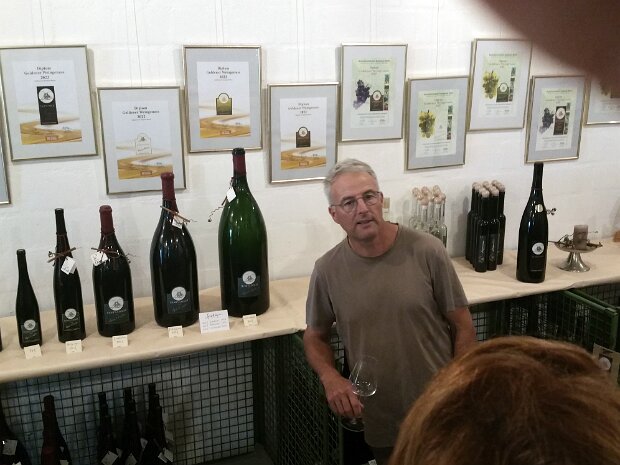 Weinwanderung Bözen Fotograf: Peter Bläuenstein