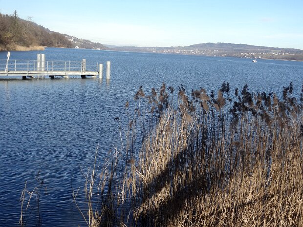 Winterwanderung Delphin-Mosen Tourenleiter: Jörg Wochele