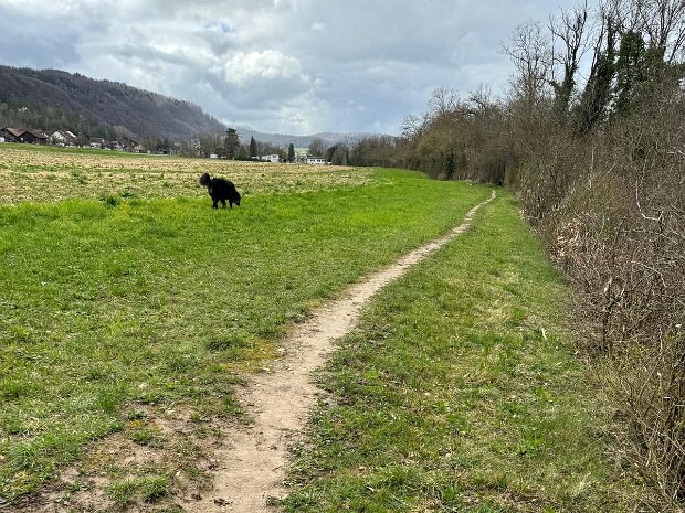 Herbst Wanderung Rheintal (Reko) Tourenleiter: Bruno Vonarburg