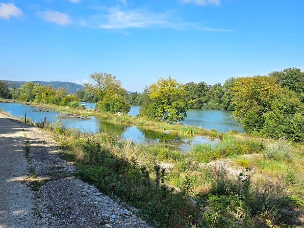 Herbst Wanderung Rheintal Fotograf: Pierre Elmer