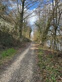 IMG-20240724-WA0003