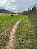 IMG-20240724-WA0004