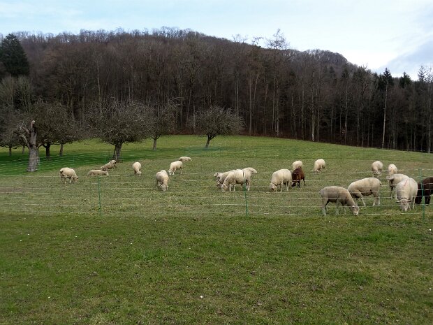 Reko Wanderung Säli-Schlössli Tourenleiter: Jörg Wochele
