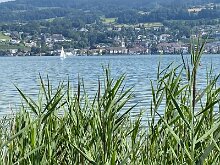 11 IMG_1213
