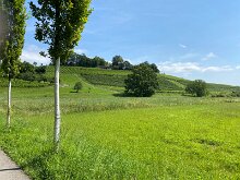 14 IMG_1219
