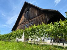 17 IMG_1227