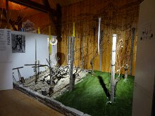 19 DSC04665