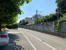 7 IMG_1202