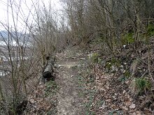 DSC05204