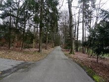 DSC05236