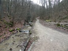 DSC05287