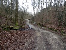 DSC05291