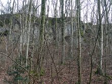 DSC05300