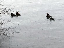 IMG-20240128-WA0003