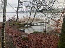 IMG-20240129-WA0030