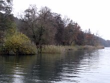DSC04929