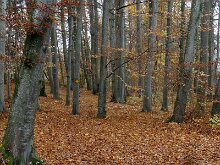 DSC04968