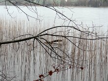 DSC05139