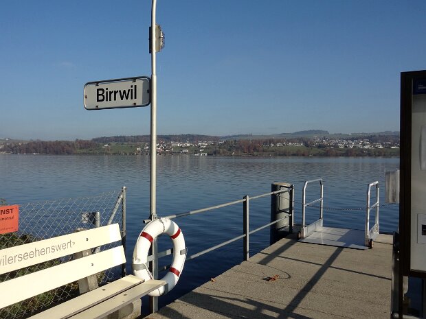 Winterwanderung Hallwilersee Tourenleiter: Jörg Wochele