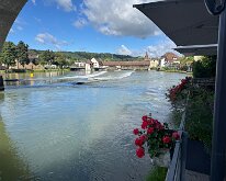 IMG_8542