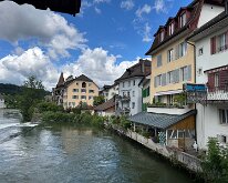 IMG_8549