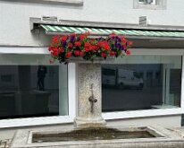IMG_8563
