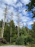 05 IMG_2388