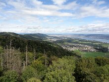 07 DSC07220