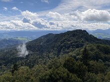 10 IMG_2390