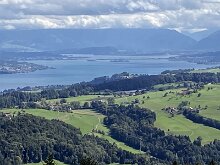 13 IMG_2394