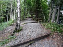 19 DSC07253