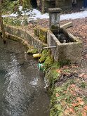 IMG_7853
