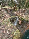 IMG_7857