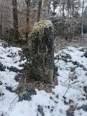 IMG_7863