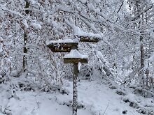 10 IMG_2746